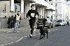 Man & Dog by Robert McLean Photography